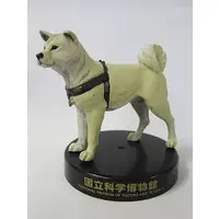 Trading Figure - National Museum of Nature and Science,Tokyo