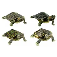 Trading Figure - Ikimono Daizukan