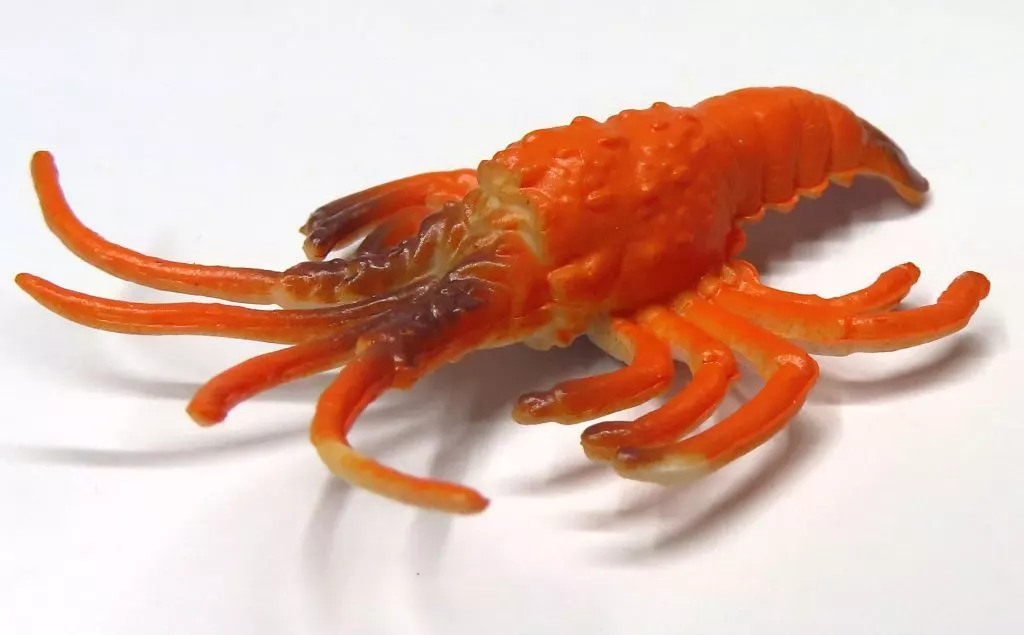 Trading Figure - Mini Figure - Marine Life Minifigure Collection