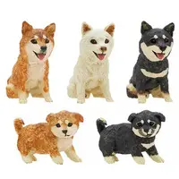 Trading Figure - Mio Hashimoto