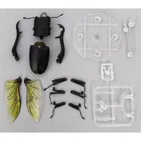 Trading Figure - Ikimono Daizukan