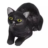 Trading Figure - Uchi no Kuroneko