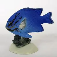 Trading Figure - Primary Color Saltwater Fish Encyclopedia