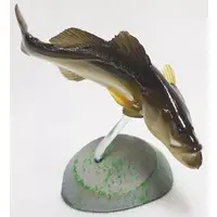 Trading Figure - Primary Color Saltwater Fish Encyclopedia