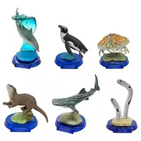 Trading Figure - AQUATALES