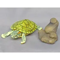 Trading Figure - Ikimono Daizukan