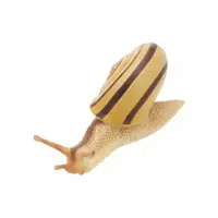 Trading Figure - Nature of Japan