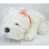 Plush - Aso Cuddly Dominion