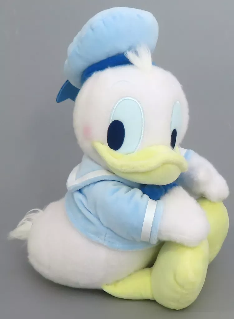 Plush - Disney / Donald Duck