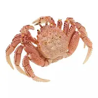 Trading Figure - Nature of Japan