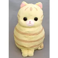 Plush - Cat