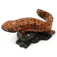 Trading Figure - Japanese giant salamander