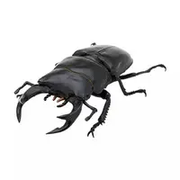 Trading Figure - Nature of Japan