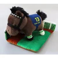 Plush - Thoroughbred collection