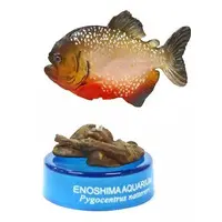 Trading Figure - Capsule Aquarium