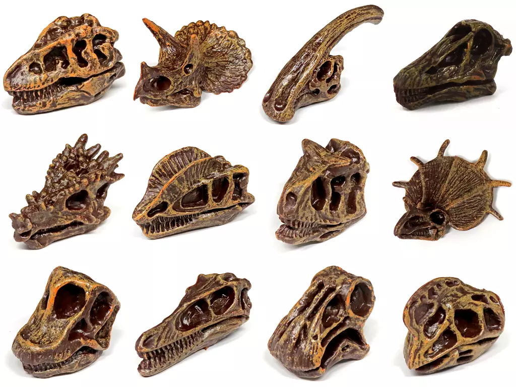 Trading Figure - Dinosaur fossil