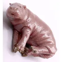 PUTITTO - Pygmy hippopotamus