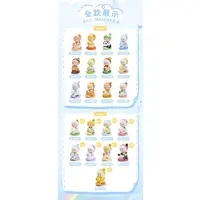 Trading Figure - Baby KiWi Series