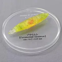 Trading Figure - Mysterious Biological Encyclopedia