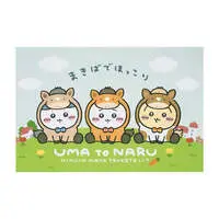 🐴Chiikawa Happy bag 2026