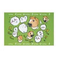 🐴Chiikawa Happy bag 2026