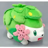 Plush - Pokémon / Shaymin