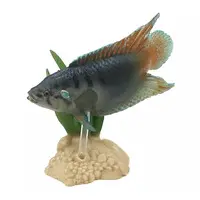 Trading Figure - Freshwater Fishes