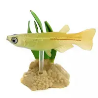 Trading Figure - Freshwater Fishes