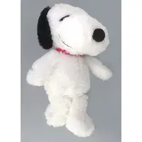 Plush - PEANUTS / Snoopy