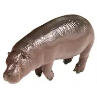 PUTITTO - Pygmy hippopotamus