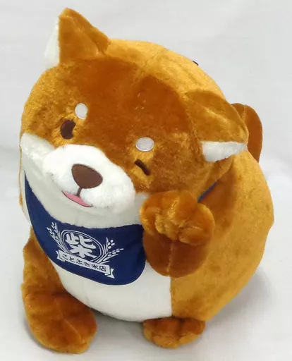 Plush - Chuken Mochishiba (Faithful Dog Mochishiba)