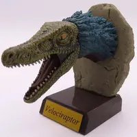 Trading Figure - Real Dinosaur Head Collection