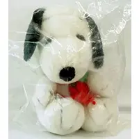 Plush - PEANUTS / Snoopy