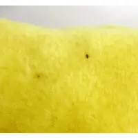 Plush - Anpanman / Anpanman (character)