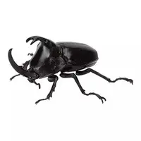 Trading Figure - Ikimono Daizukan