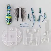 Trading Figure - Ikimono Daizukan