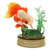 Trading Figure - Enoshima Aquarium