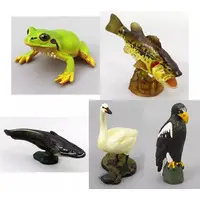 Trading Figure - Lake Biwa Nature Museum