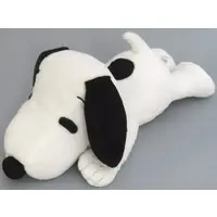 Plush - PEANUTS / Snoopy