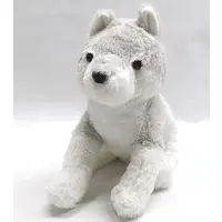 Plush - Wolf