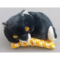 Plush - MAMESHIBA SANKYOUDAI
