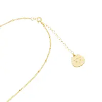 Chiikawa Park - Chiikawa / Hachiware