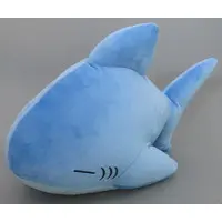 Plush - Leonardo shark collection
