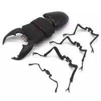 Trading Figure - Ikimono Daizukan