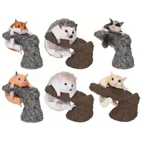 Trading Figure - Ikimono Daizukan