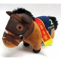 Plush - Thoroughbred collection