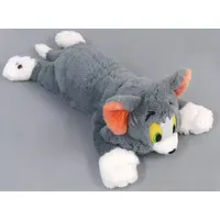 Plush - TOM and JERRY / Tom