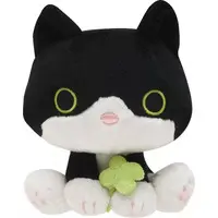 Plush - Kutsushita Nyanko
