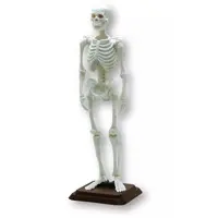 Trading Figure - Museum Modeling Club