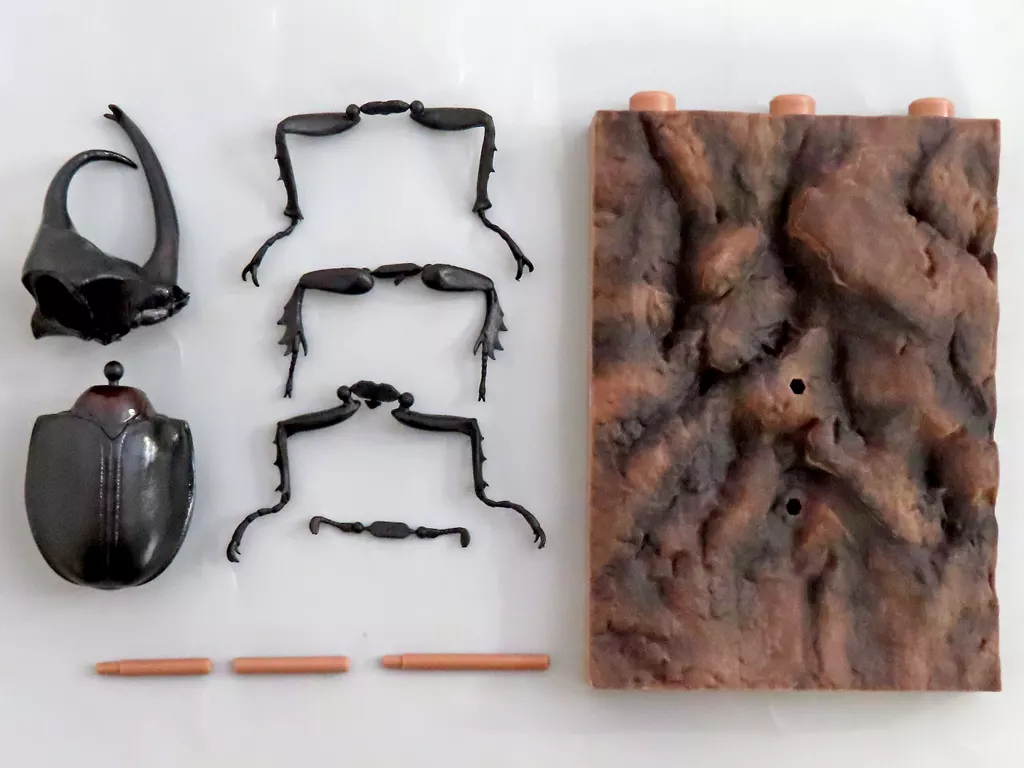 Trading Figure - Ikimono Daizukan